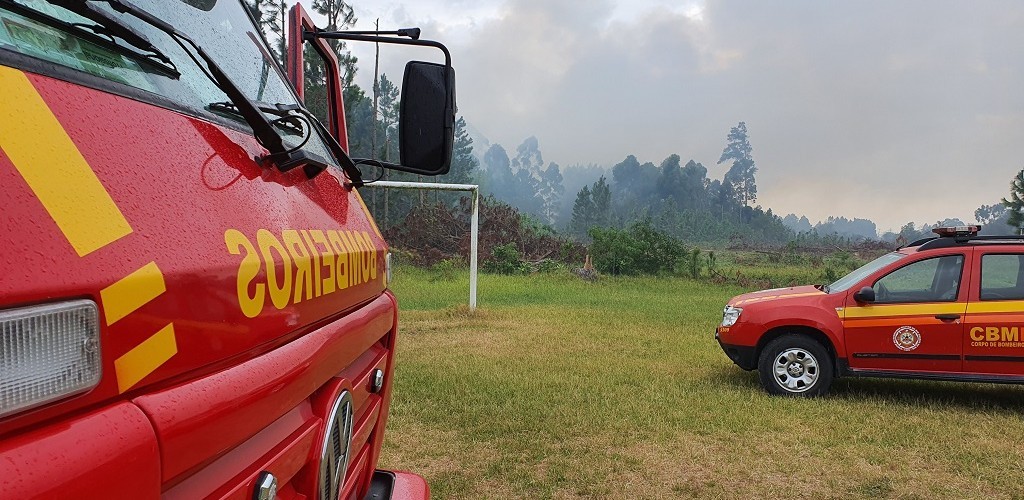 Área de pinus é atingida por incêndio na Furg