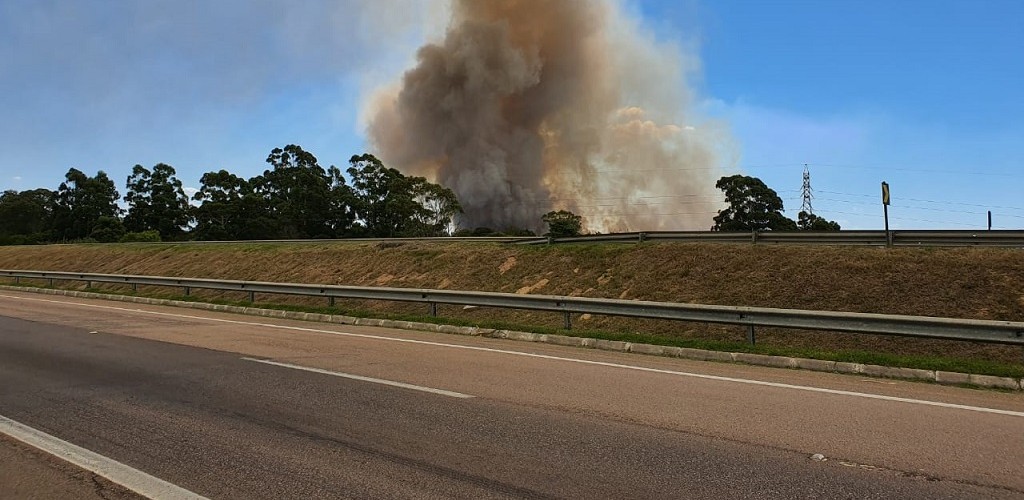Incêndio em vegetação no Leonídio causa extensa cortina de fumaça em RG