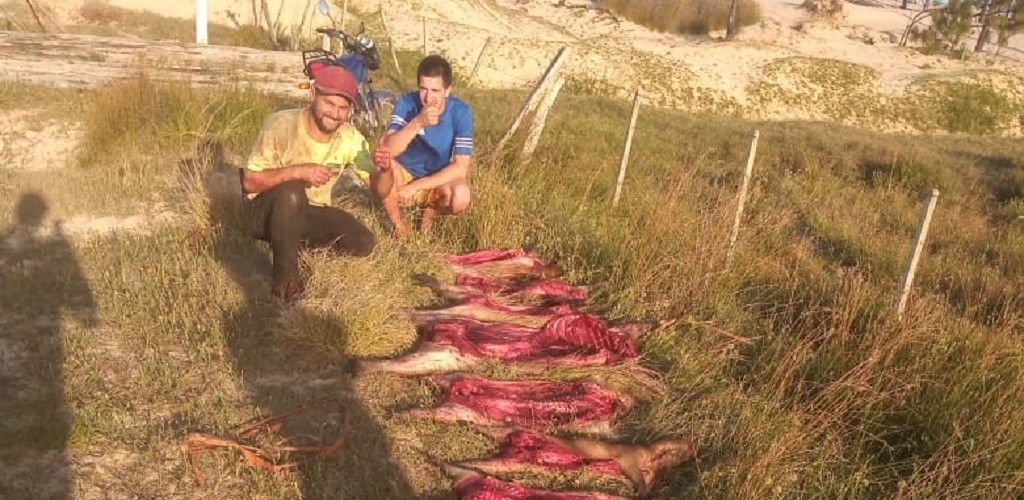 Polícia Federal combate caça e maus tratos a animais silvestres no Taim