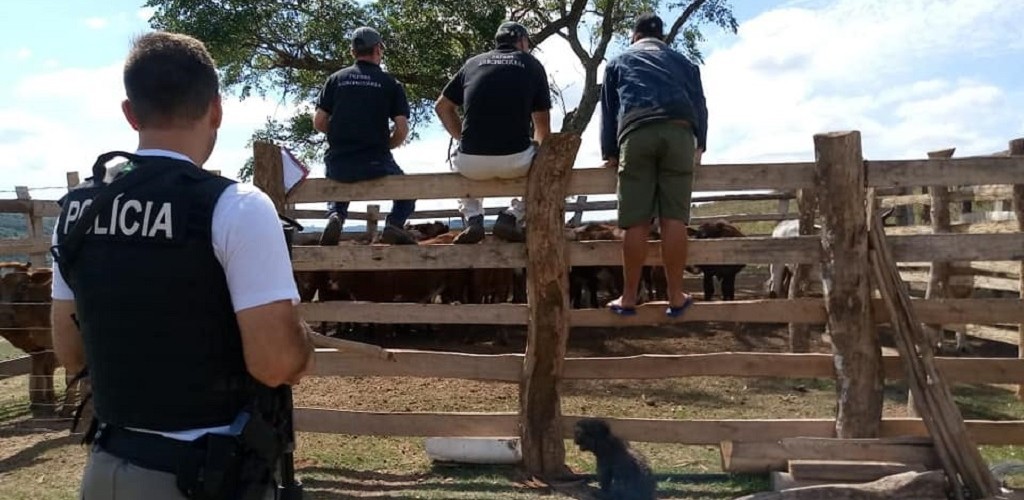 Brigada Militar prende homem por furto de semoventes em Canguçu