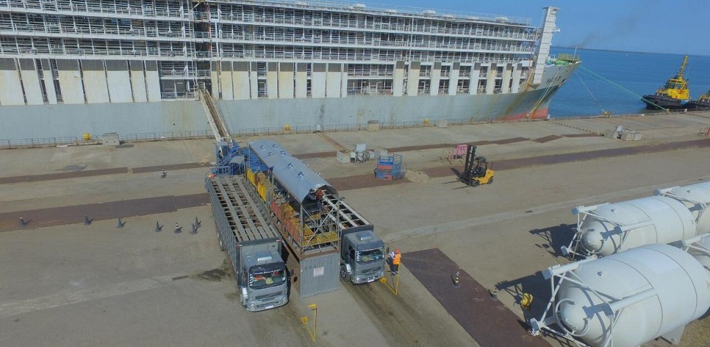 Porto do Rio Grande realiza maior embarque de gado da história desta modalidade no RS