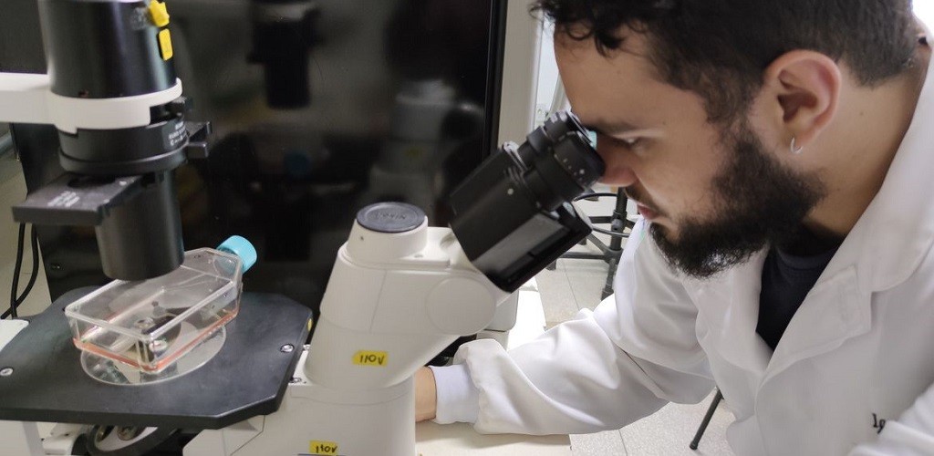 Capes prorroga a duração das bolsas de mestrado e doutorado