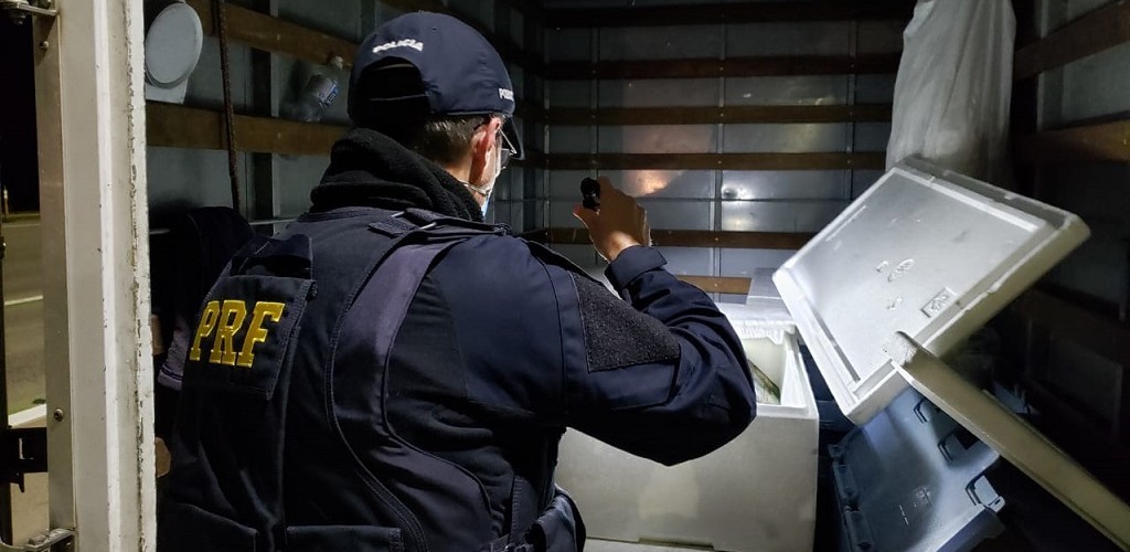 PRF e BM apreendem 200 quilos de frutos do mar sem nota fiscal e sem inspeção sanitária 