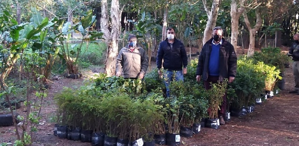 Furg recebe 3.700 mudas de árvores da Secretaria do Meio Ambiente do Rio Grande