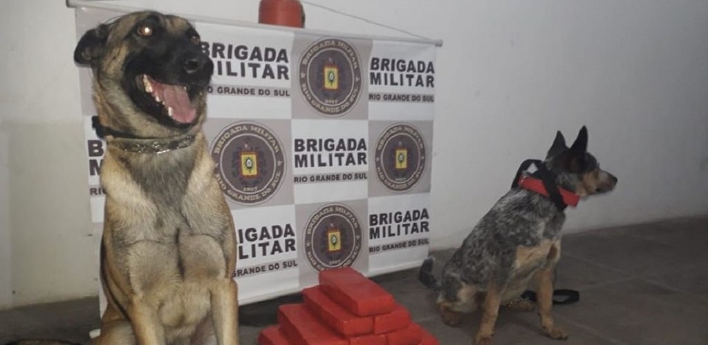 Homem é preso com 10kg de maconha em RG