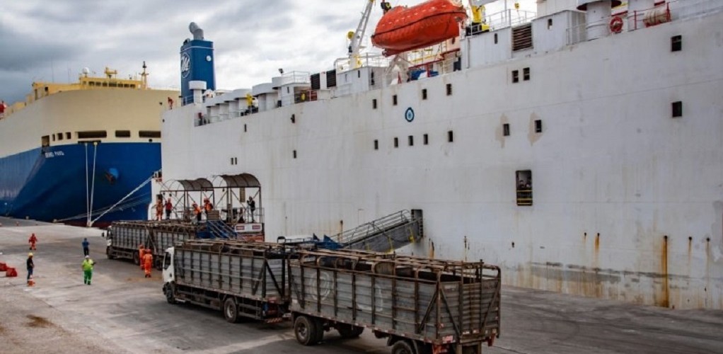 Mercosul promove videoconferência sobre importância dos portos gaúchos para a agropecuária