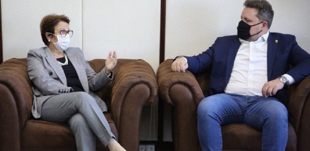 Ministério liberará R$ 600 mil para combater nuvem de gafanhotos no RS