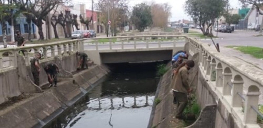 Com apoio do Exército, Prefeitura realiza plantio de Hortênsias no canalete da Av. Major Carlos Pinto 