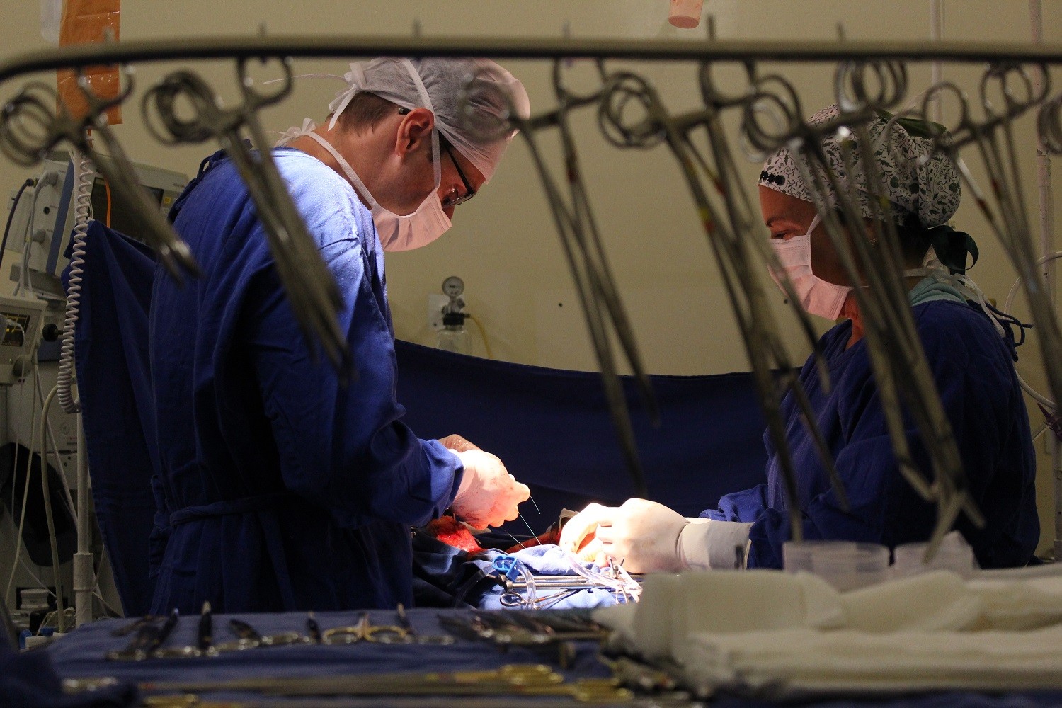 Poderes do Estado se unem para incentivar a doação de órgãos