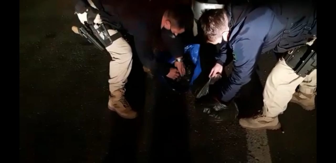 PRF prende casal transportando skunk no porta-mala de um veículo em Pelotas