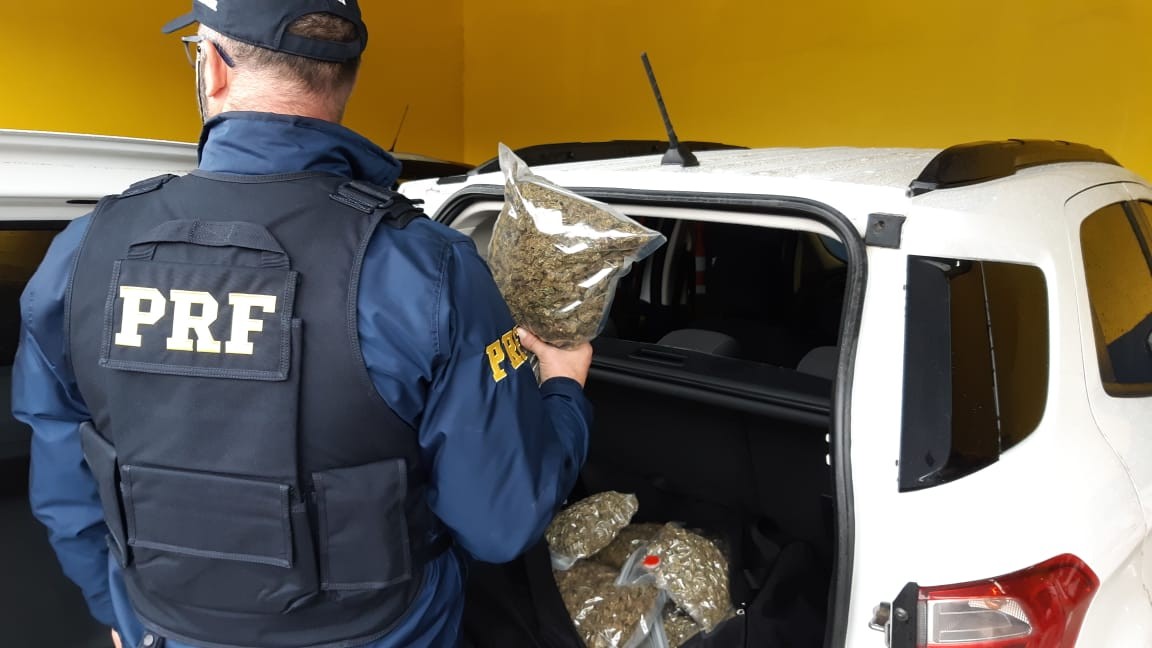 Sob forte chuva, PRF apreende mais de 11 kg de skunk em Pelotas