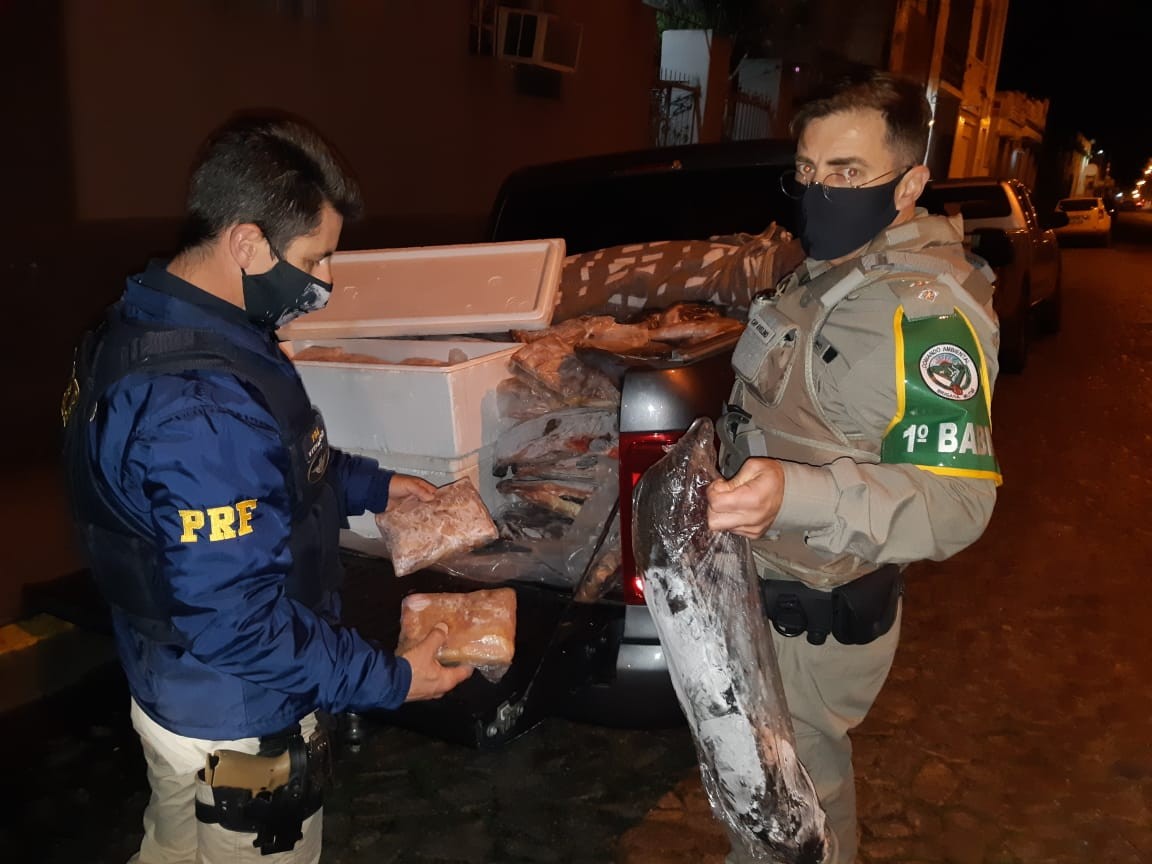 PRF e BM apreendem meia tonelada de pescado impróprio para consumo em Pelotas