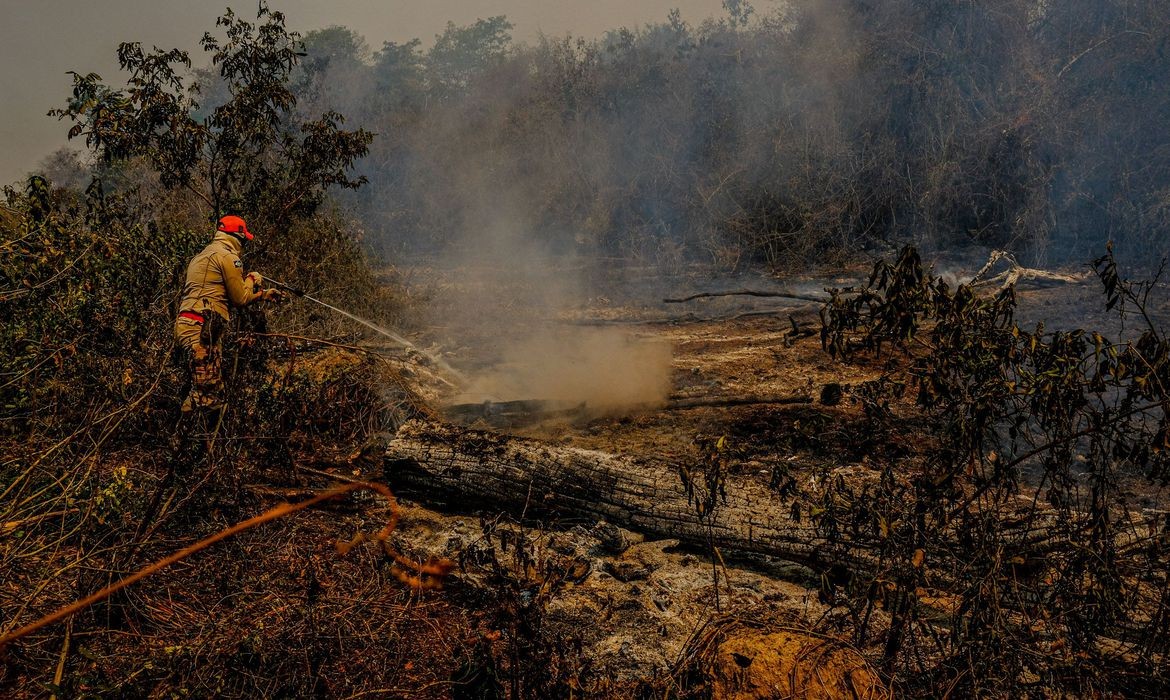 Causas de incêndios no Pantanal são apurados pela PF e órgãos estaduais
