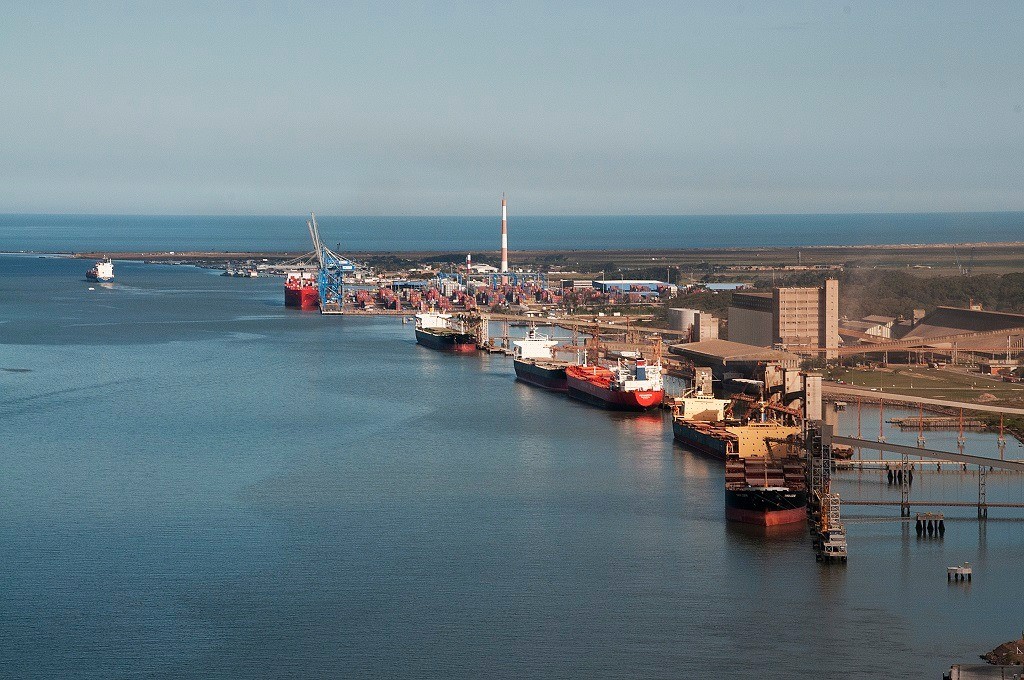  Porto do Rio Grande realiza embarque de 13 mil terneiros vivos