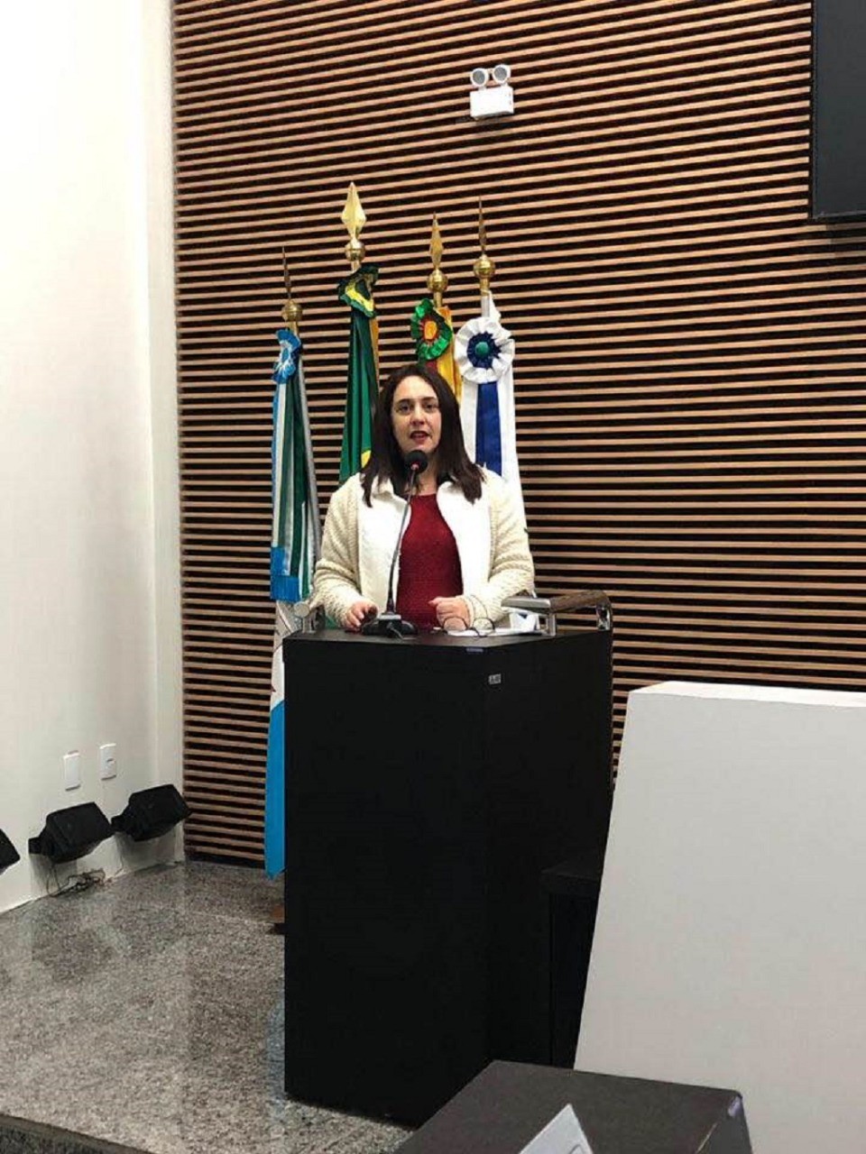 Professora Denise (PT) é reeleita pela terceira vez consecutiva