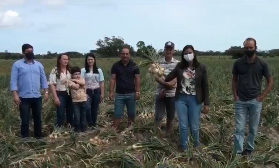 6ª Abertura da Colheita da Cebola de SJN ocorre de forma online