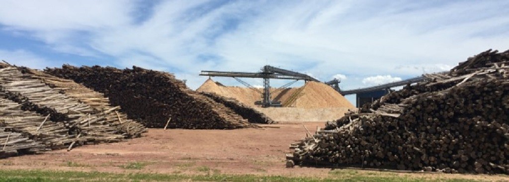 Industrialização de cavaco de madeira terá investimento de R$ 8 milhões em Rio Grande