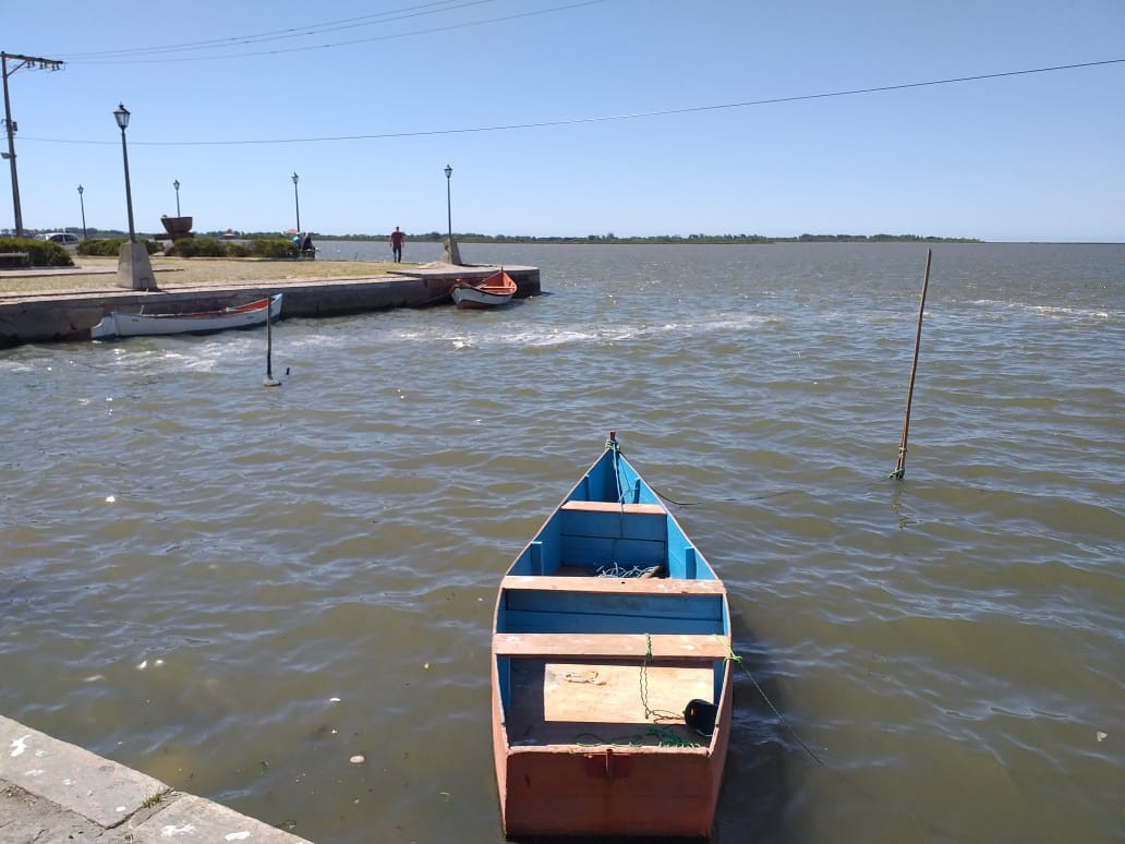 Clima seco cria cenário positivo para a próxima safra de camarão
