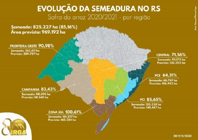 RS atinge 85% do previsto para semeadura de arroz
