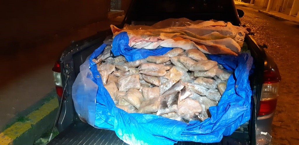 PRF apreende quase meia tonelada de peixe em Pelotas