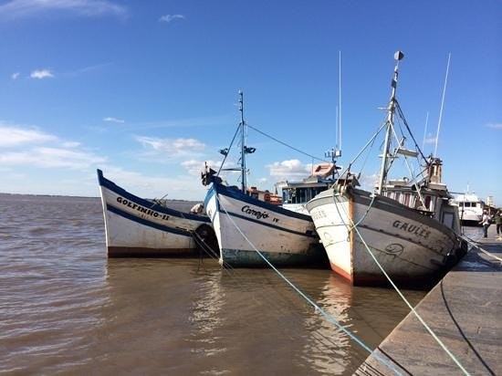 Estado recorre para suspender a liminar que permite a pesca de arrasto