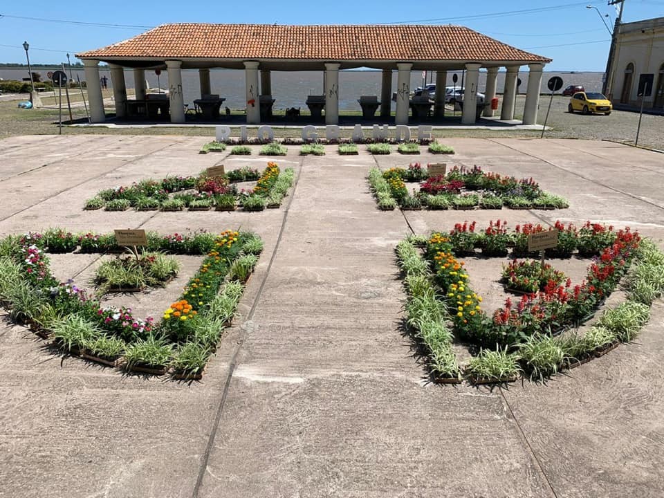 Campanha 'Floresce, Rio Grande' começa plantio em canteiros de Rio Grande