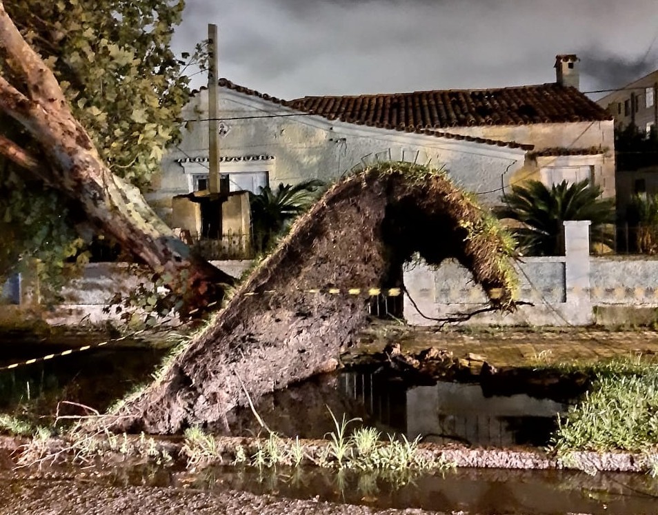 Quedas de árvores foram  as principais ocorrências  da Defesa Civil após forte chuva em Rio Grande