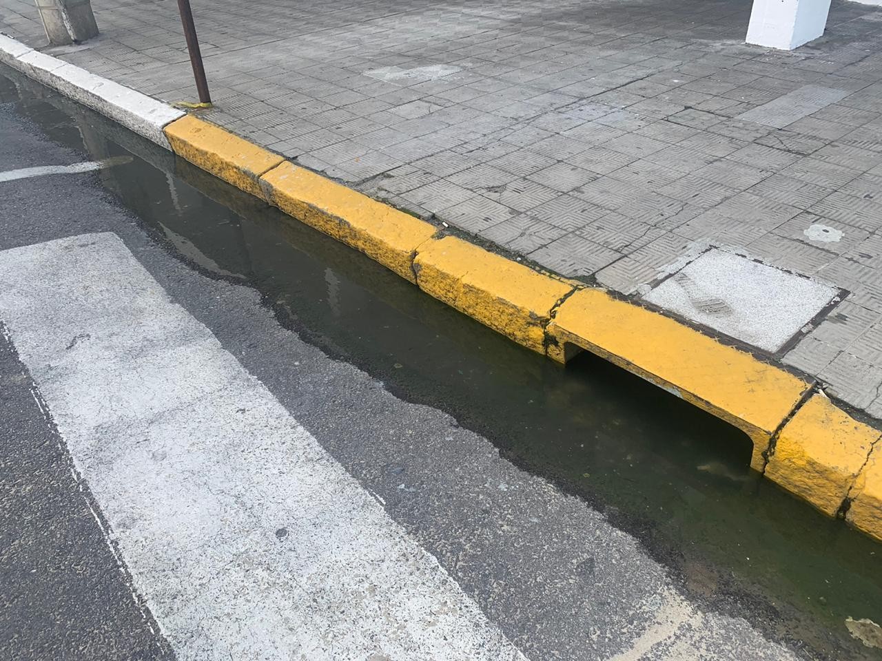 Moradores da Rua Ewbank sofrem com vazamento de esgoto