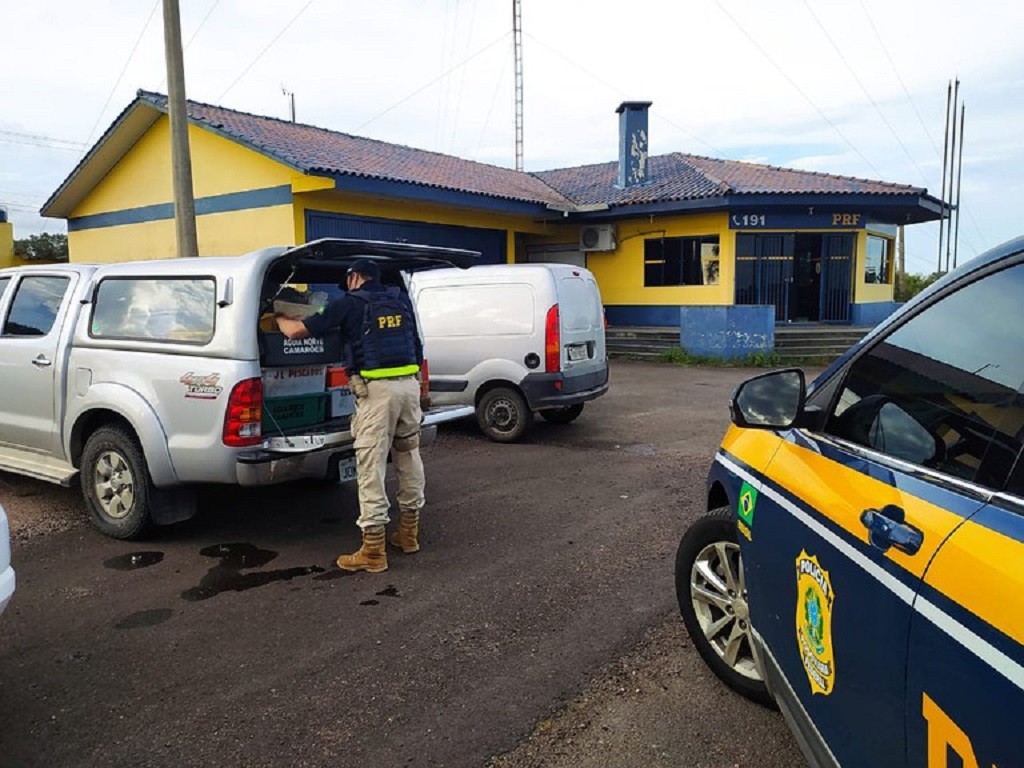 PRF apreende mais de meia tonelada de camarão sendo transportada sem condições de higiene