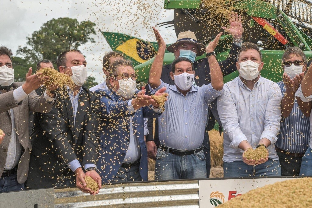 Abertura da Colheita do Arroz termina em clima de emoção e superação