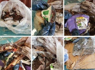 MPF evita dano ambiental e garante pagamento de mais de R$ 700 mil por empresa que importou carga irregular dos EUA para o Porto do RG