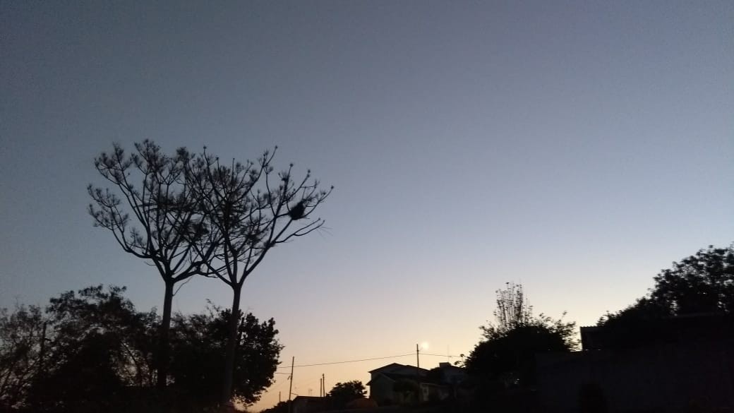 Outono começa na manhã deste sábado (20)