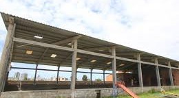 Corpo de mulher é encontrado na manhã de quinta-feira (25) em Pelotas