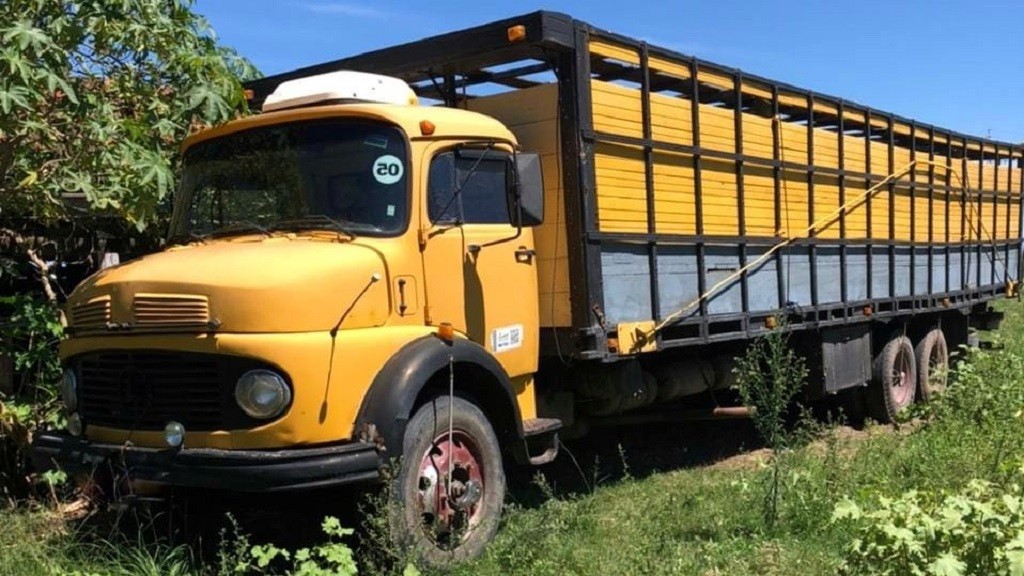 Polícia Civil realiza Operação Gado Encantado em Rio Grande