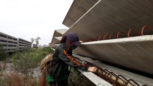 Prefeitura realizará mutirão de combate ao mosquito da dengue no bairro São Miguel