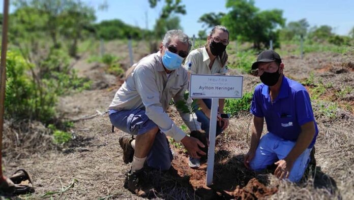 Prefeitura abre formulário de inscrição para projeto "Bosque da Memória", que vai homenagear vítimas da Covid-19 em RG