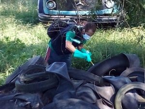 Vigilância Ambiental identificou 40 focos de Aedes Aegypti em Rio Grande