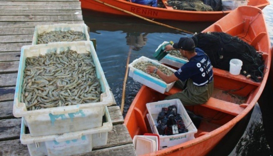 Mais de 300 pescadores se cadastraram para receber o Seguro Defeso em Rio Grande