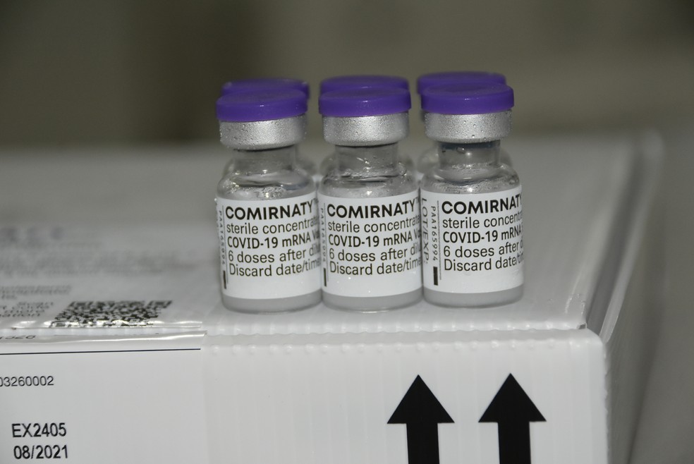 Após aprovação da Anvisa, vacinas da Pfizer podem ser armazenadas em temperaturas de 2 a 8ºC em até 31 dias 
