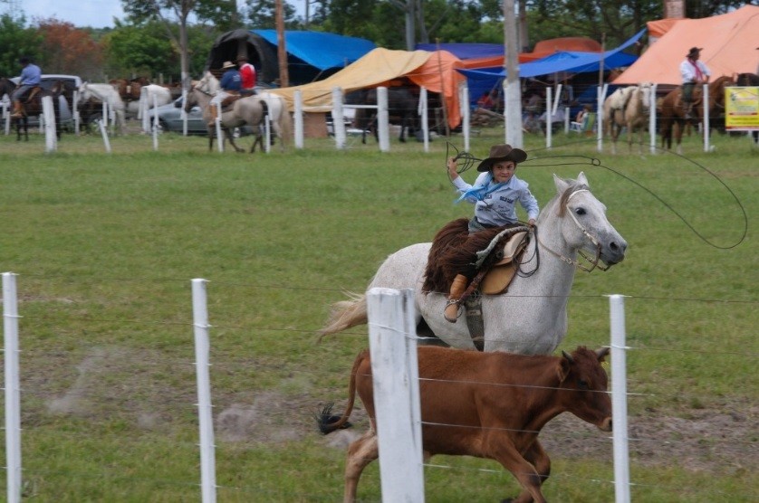 Representantes de eventos tradicionalistas rebatem posicionamento da Secretária da Causa Animal