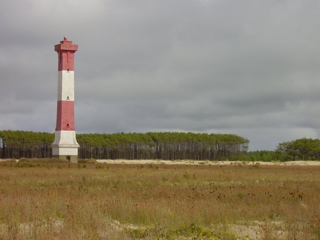Marinha está no 5º dia de buscas por tripulante desaparecido após cair de embarcação em Rio Grande