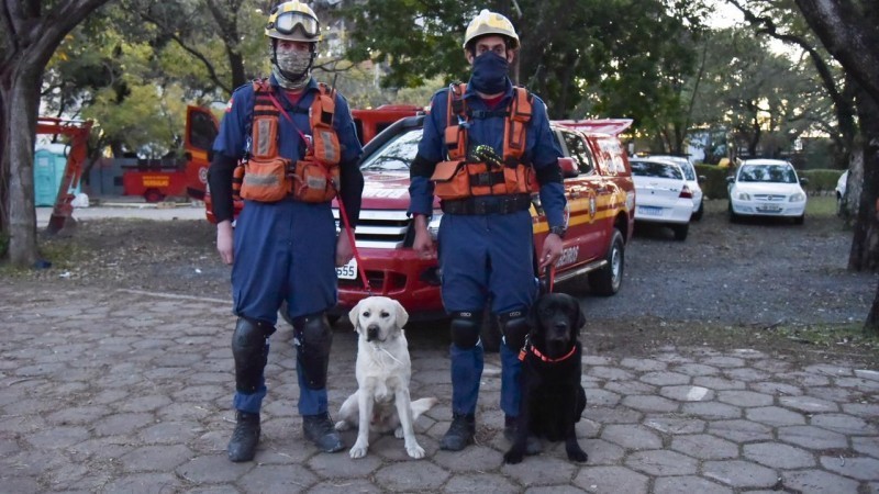 Equipe de cães de Santa Catarina chega em POA para atuar na busca pelos bombeiros desaparecidos no incêndio da SSP