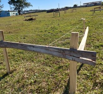  Camping Municipal do Cassino começa a ser reestruturado para o Acampamento Farroupilha, realizado em setembro 