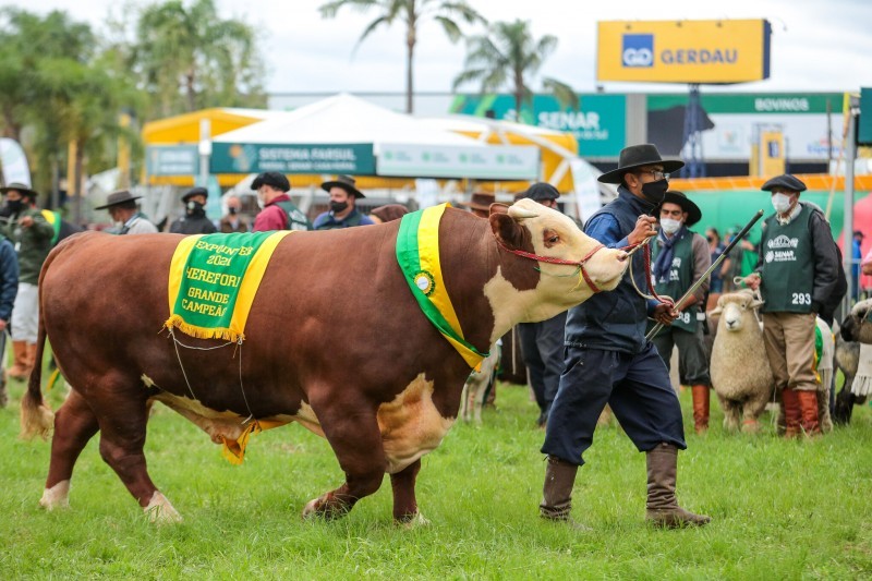  Na tradicional abertura com o Desfile dos Campeões, 44ª Expointer é reconhecida como a feira da retomada
