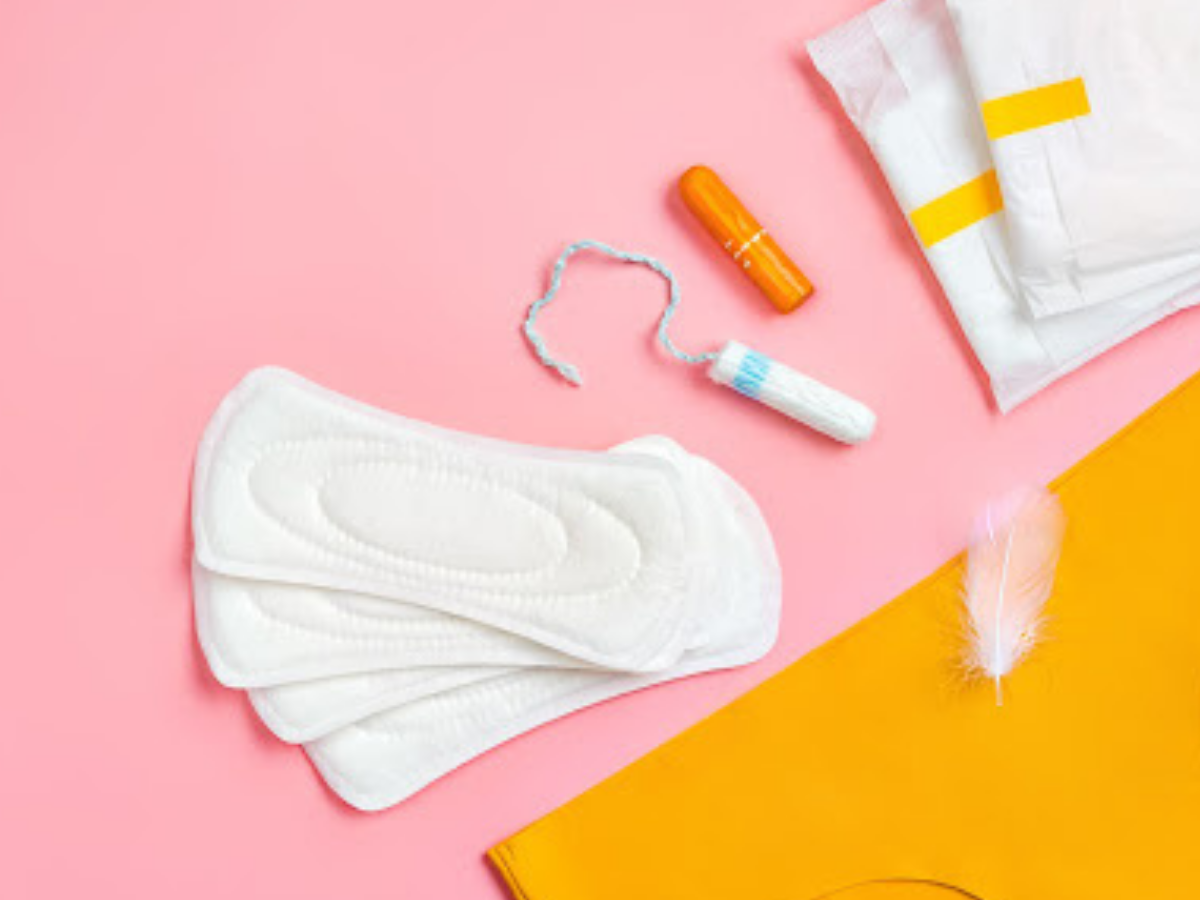 Projeto que assegura oferta de absorventes em escolas públicas e para mulheres em vulnerabilidade social é aprovado na Câmara