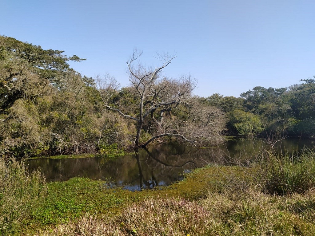 Concurso de fotografia e vídeo do projeto APA da Lagoa Verde está com inscrições abertas