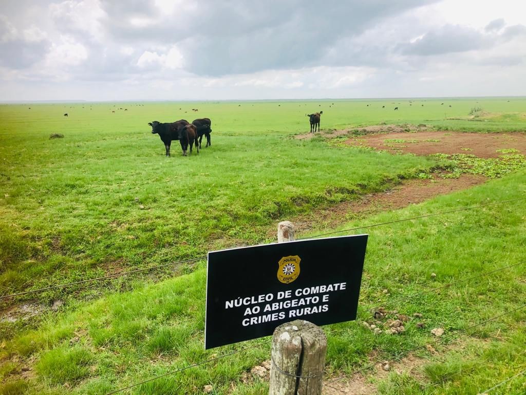 Núcleo de Combate ao Abigeato da PC de Rio Grande recupera três animais furtados