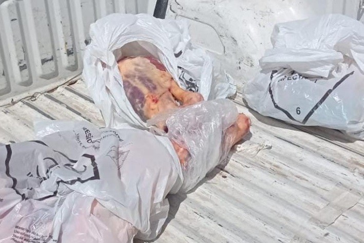 BM apreende mais de 500 quilos de carne e prende cinco pessoas durante operações na região Sul do Estado