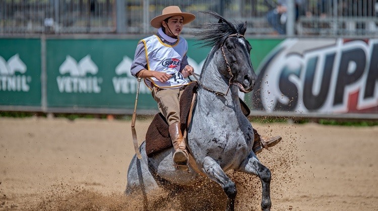Gabriel Macedo, filho do ginete Zeca Macedo, conquista ouro e prata no Freio Jovem 2021