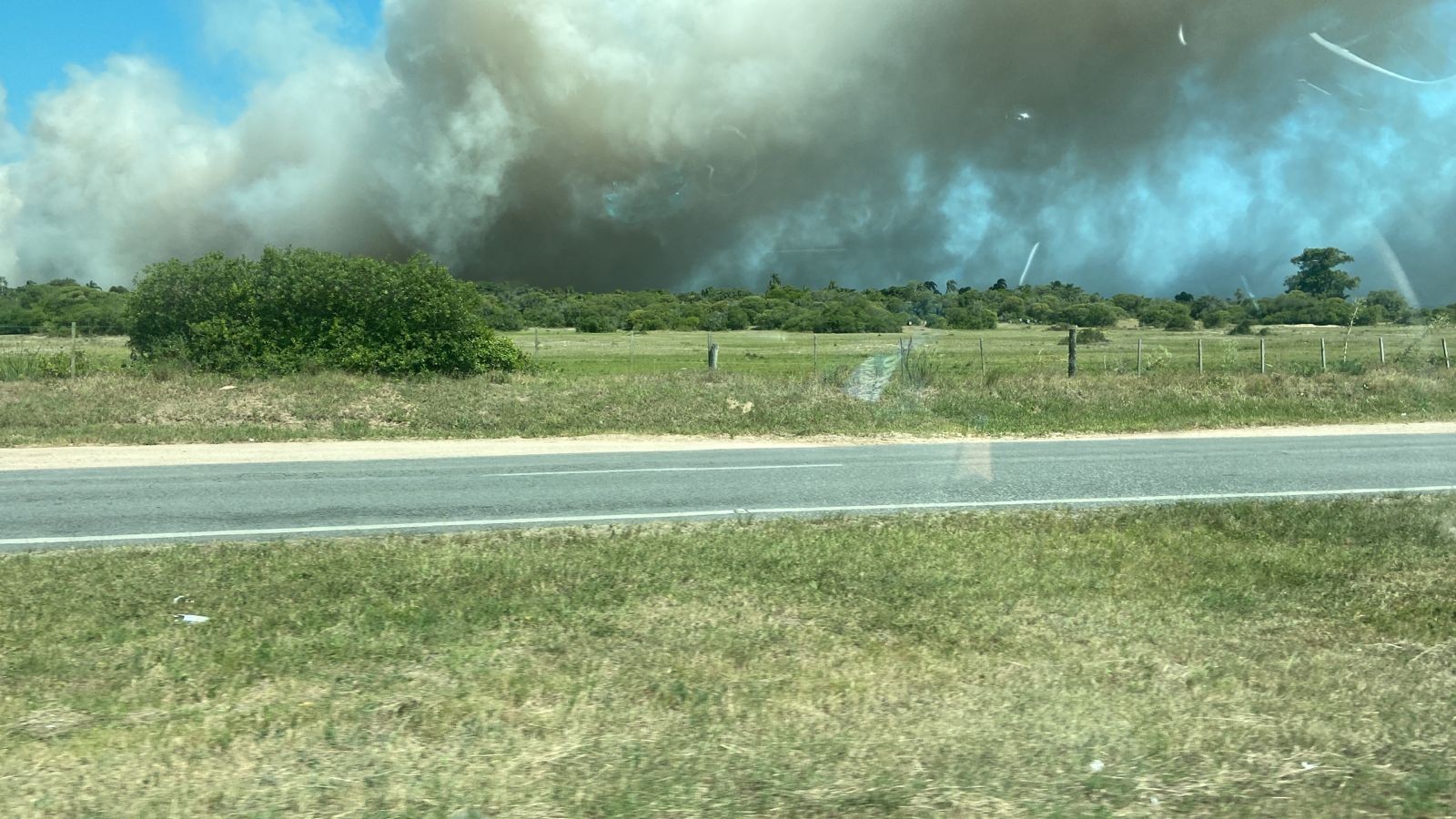 VÍDEO: Incêndio de grandes proporções atinge banhado próximo à ERS-734 em Rio Grande